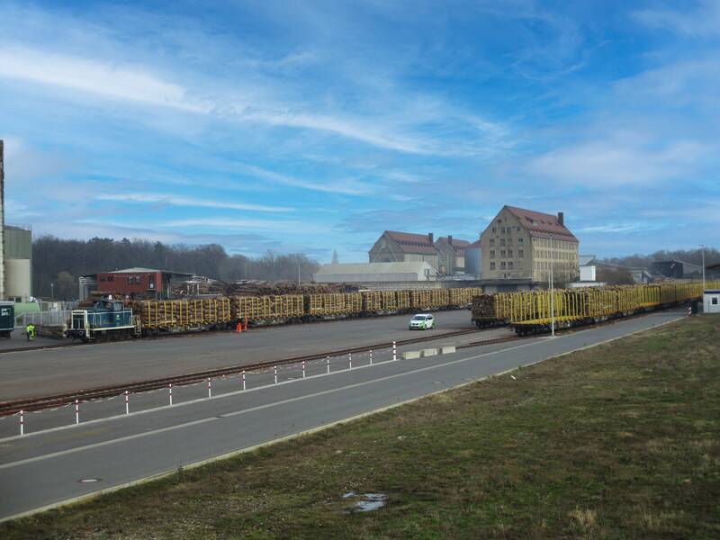 Mit Holzstämmen beladene Gütewagons am Hafen Berenbusch